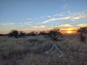 PXL_20211120_001527348